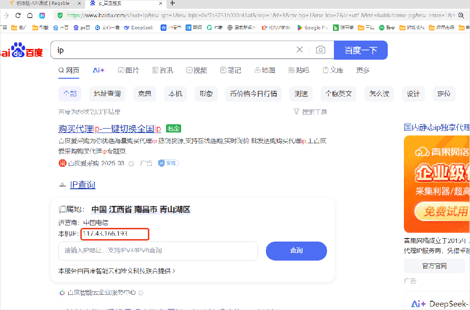 Reqable官方正版