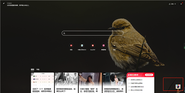 360极速浏览器X