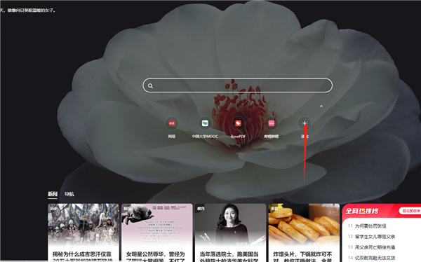 360极速浏览器X