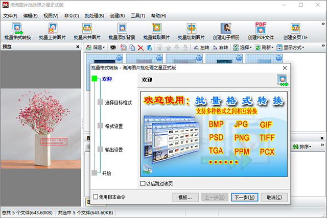 淘淘图片批处理之星 
