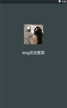king优化框架 