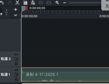 Camtasia Studio中文版 