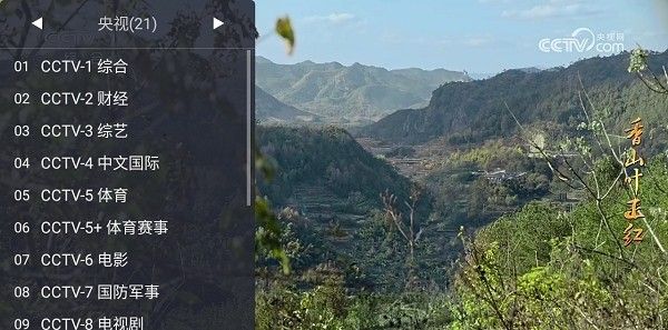 webview电视 纯净版