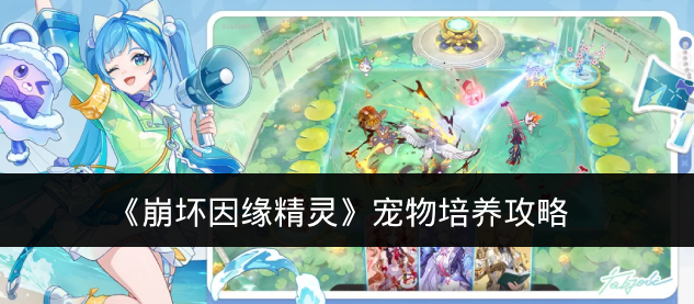 《崩坏因缘精灵》宠物培养攻略
