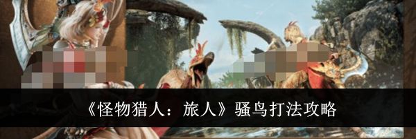 《怪物猎人：旅人》骚鸟打法攻略