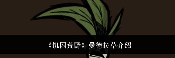《饥困荒野》曼德拉草介绍