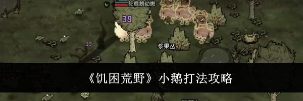 《饥困荒野》小鹅打法攻略