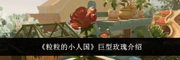《粒粒的小人国》巨型玫瑰介绍