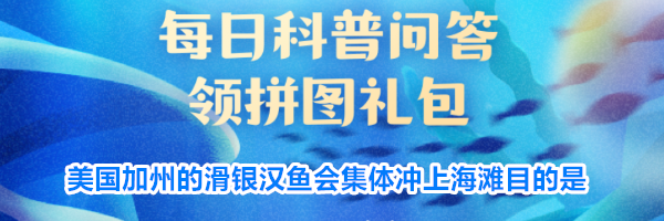 美国加州的滑银汉鱼会集体冲上海滩目的是