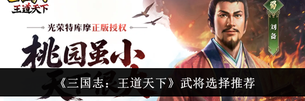 《三国志：王道天下》武将选择推荐