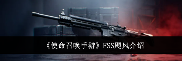 《使命召唤手游》FSS飓风介绍