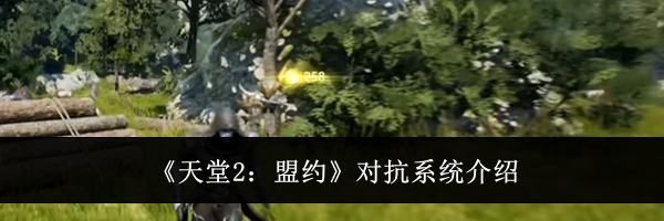 《天堂2：盟约》对抗系统介绍