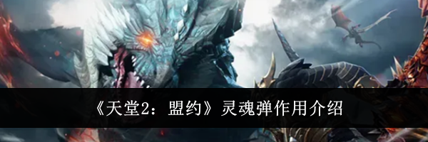 《天堂2：盟约》灵魂弹作用介绍