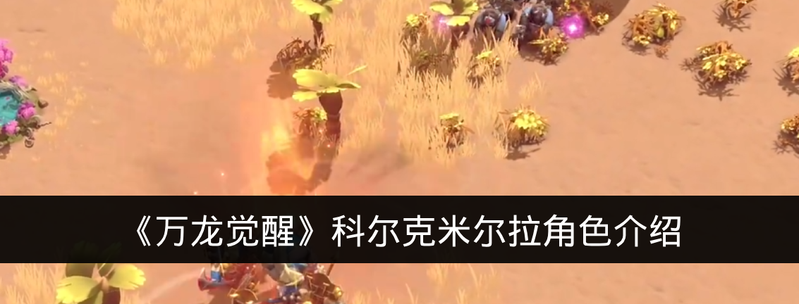 《万龙觉醒》科尔克米尔拉角色介绍