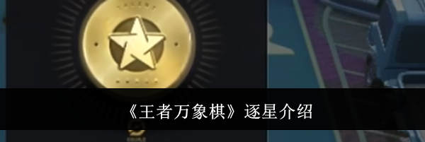 《王者万象棋》逐星介绍