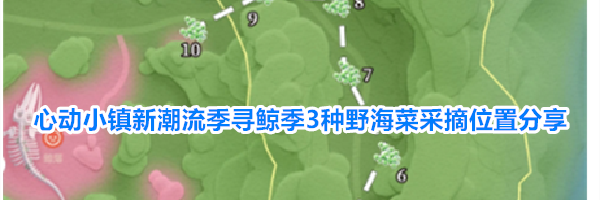 心动小镇新潮流季寻鲸季3种野海菜采摘位置分享