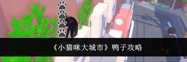 《小猫咪大城市》鸭子攻略