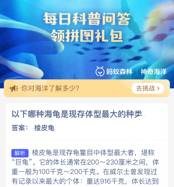 以下哪种海龟是现存体型最大的种类