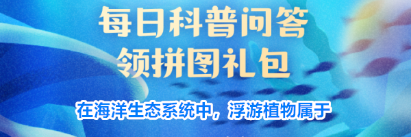 在海洋生态系统中浮游植物属于