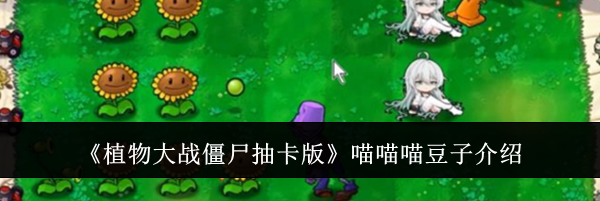 《植物大战僵尸抽卡版》喵喵喵豆子介绍